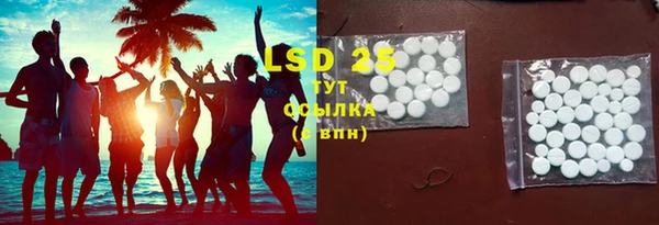 индика Аркадак