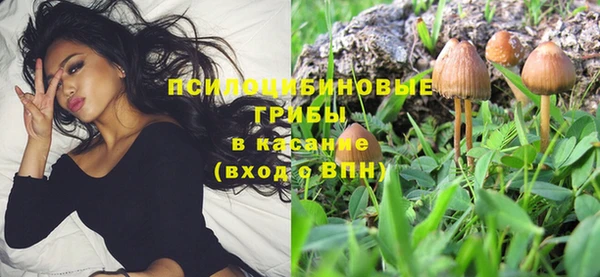 spice Арсеньев