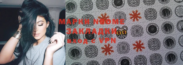 индика Аркадак