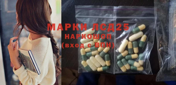 индика Аркадак