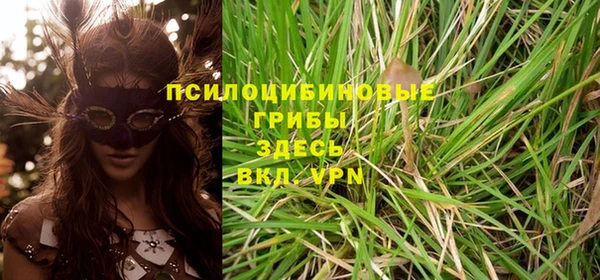 Альфа ПВП Алексин
