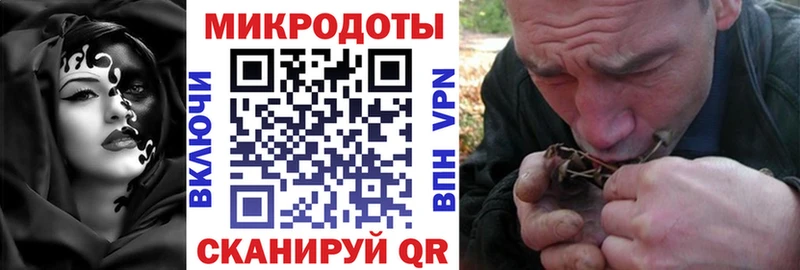 Псилоцибиновые грибы GOLDEN TEACHER  кракен   darknet телеграм  Куйбышев 